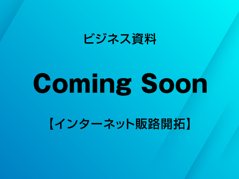 ビジネス資料【予定4】